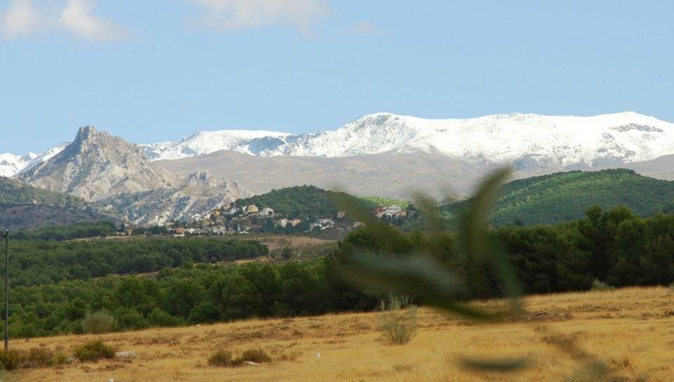 El Rincon De Pepa Apartman La Zubia Kültér fotó